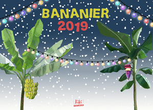 Carte fêtes de fin d'année Carte de Voeux Bonanier